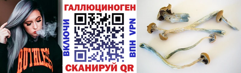 как найти   МЕГА как войти  Галлюциногенные грибы мицелий  Абакан 