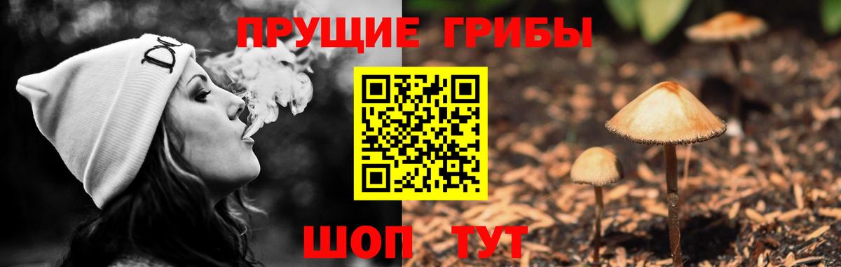 дарнет шоп  Галлюциногенные грибы Magic Shrooms  Вход с VPN  Абакан 